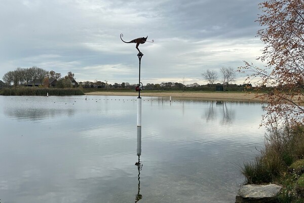 Kunstwerk ‘De Kameleon’ onthuld aan de Kraaijenbergse Plassen