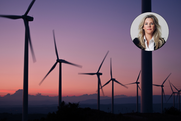 FVD wil dat raad eerst beslist over miljoeneninvestering windpark Oss