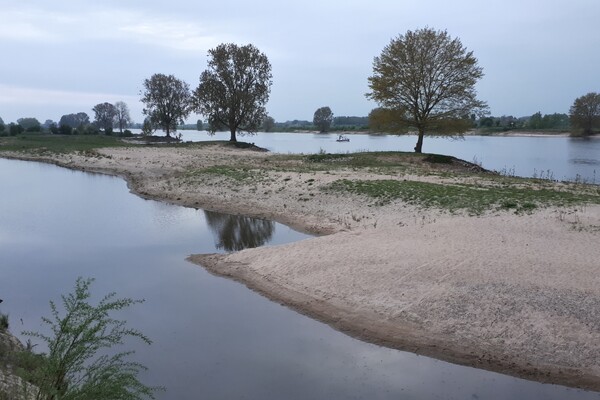 Start zwemseizoen: waterkwaliteit in Land van Cuijk vanaf 1 mei weer gecontroleerd