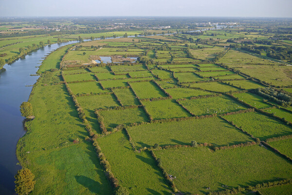 Maasheggen genomineerd voor Europese landschapsprijs