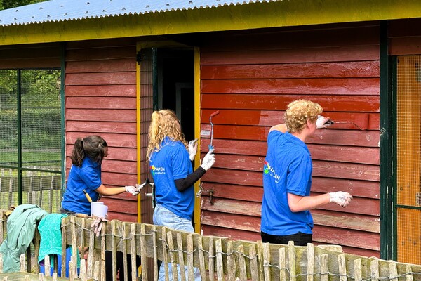 MSD-medewerkers ondersteunen maatschappelijke projecten in regio Boxmeer