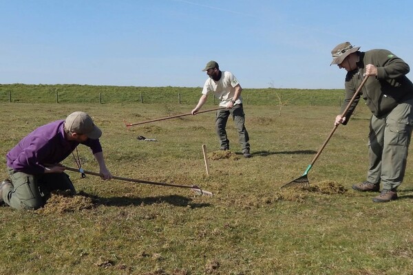 Vrijwilligers gezocht voor Natuurwerkdag in de Oeffelter Meent