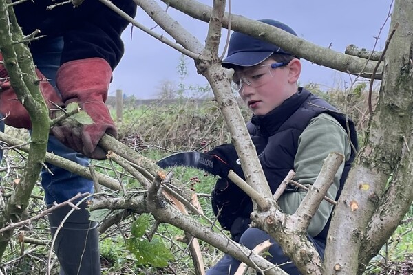 Ouders en kinderen vlechten samen heggen in de Maasheggen