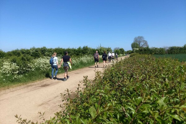 Wandeltocht door Maasheggen op 11 mei vanuit Oeffelt
