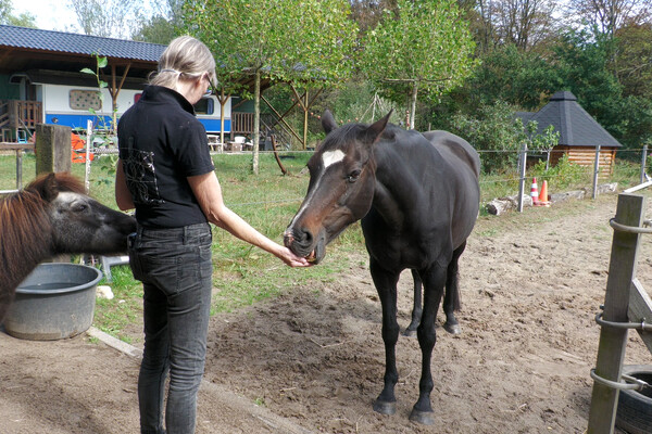 "Pas als ik merk dat mijn paard het leuk vindt, geniet ik zelf ook"