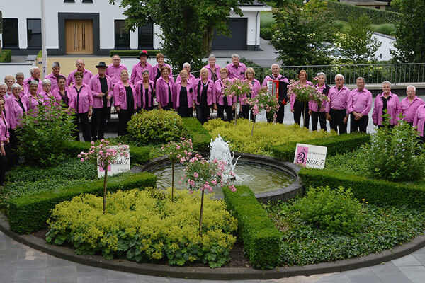 Muzikale zondagmiddag voor senioren in De Wester Mill