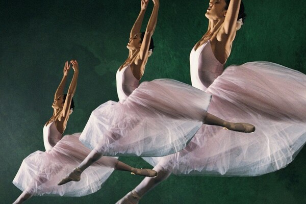 Dichtworkshop over thema Metamorfose tijdens Poëzieweek in Boxmeer