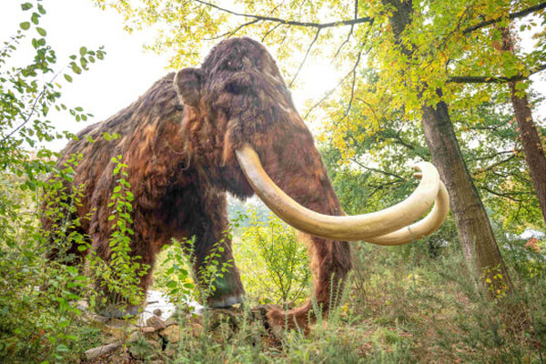 Levensgrote IJstijd-dieren tentoongesteld in ZooParc Overloon