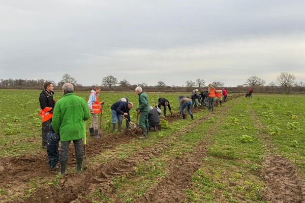 Honderden meters hagen geplant in Maasheggen als eerste stap naar 400 ha nieuwe natuur