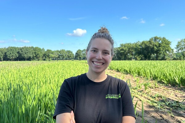  Rood blijft favoriet: tienduizenden gladiolen uit Land van Cuijk voor Vierdaagse