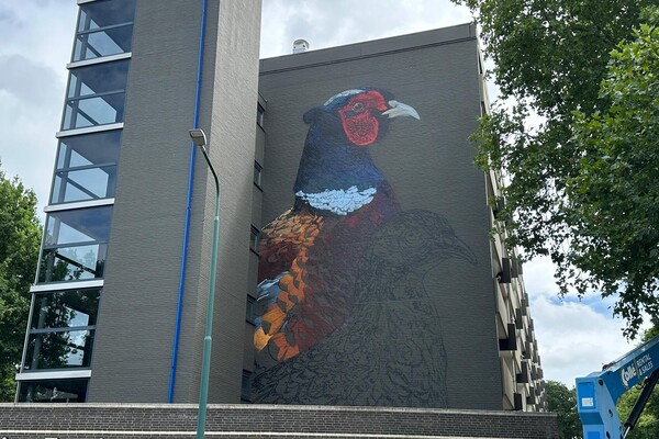 Flats in Cuijk krijgen muurschilderingen na renovatie