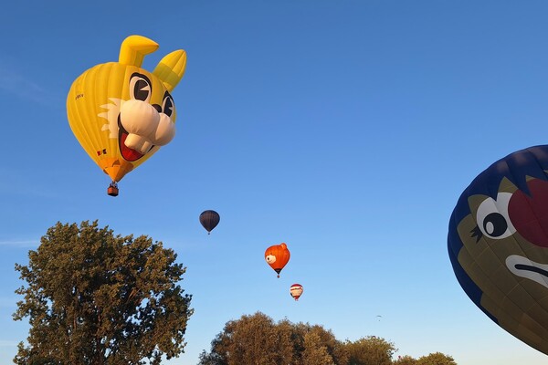 Ballonfestival Grave druk bezocht: 'Het was in no time uitverkocht'